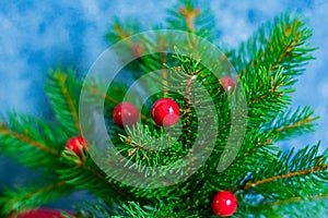 Photo of coniferous tree branches with small red toys against the background of a blue decorative wall in defocus