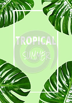 Group of green leaf frame on green background