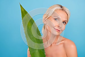 Photo of cute pretty senior woman nude shoulders smiling enjoying natural aloe vera cosmetics isolated blue color