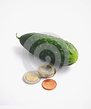 Photo depicting natural beautiful delicious single fresh green cucumber or with euro money coins, macro.