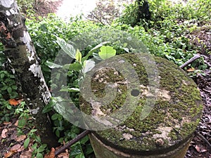 Ancient moss covered well