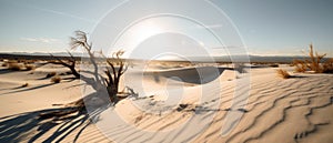 Photo of desert with endless white sand.