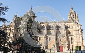 Photo detail of part of the Salamanca catedral in Spain