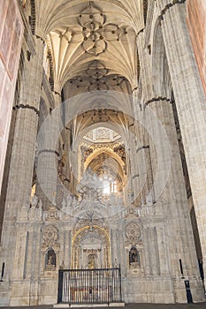 Photo detail of part of the Salamanca catedral in Spain