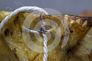 Photo of dirty used tea bag