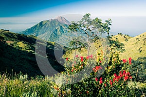 Photo of dormant stratovolcano