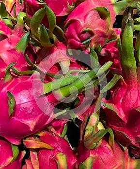 Photo dragon fruit tropical on the counter supermarket