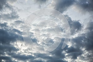 Photo of dramatic sky with birds