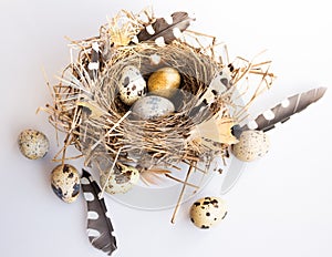 Photo with Easter eggs nest and feathers on a white studio background