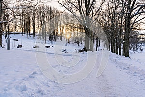 Photo of an Empty Walkway in Park in Alley on Sunny Winter Evening