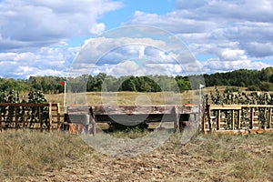 Photo of eventing equestrian rider jumping log barrier