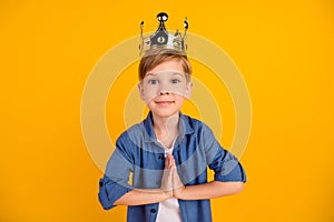 Photo of excited funny schoolboy arms palms touch pleading isolated on yellow color background