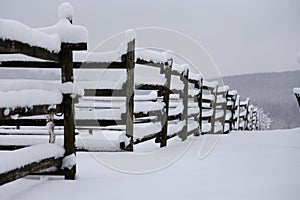 Photo of a fafulous snowy corral as a winter background
