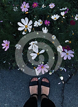 Photo of the feet of girl. She stand on a beautiful surface. View from above. Vertical shot.