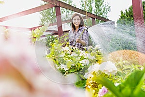 Photo of female gardener watering plants in garden shop