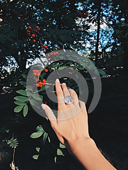 Photo of a female hand against a background of nature. Open palm. View from above. Vertical shot.