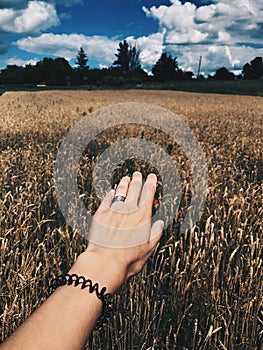 Photo of a female hand on a beautiful background. Open palm. View from above. Vertical shot.