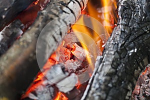 Fire on logs