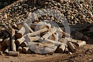 Photo of firewood piled on the ground