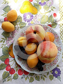 Photo with food, photo with berries