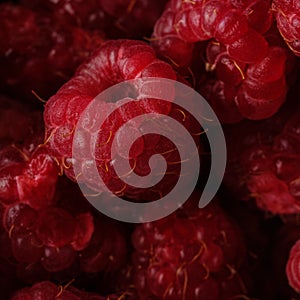 Macro Photo food raspberry berry. Texture background ripe pink raspberry berry. Image food product berry raspberry photo