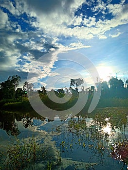 photo of forest and lake in the sun.