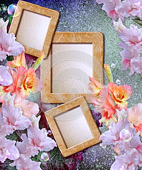 Photo frame with gladiolus