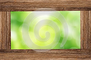 Photo Frame with green forest bokeh background
