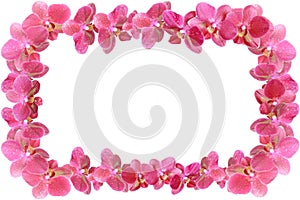 Photo frame made of orchid flowers with dew drops isolated from background