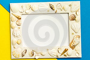 Photo frame with shells on blue and yellow color paper texture background.