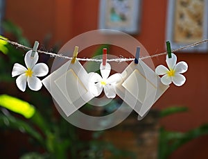 Photo Frames on Rope with flower