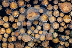 Wood Stack