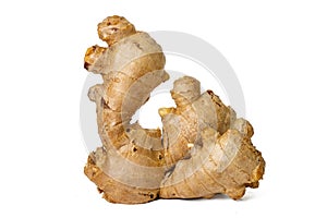 Photo of fresh raw fresh gingers taken with a high-resolution camera using the focus-stacking technique on a white background