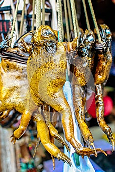 Photo of a frog purse that can be used for environmental purposes and mock up designs and etc. Tropical souvenirs...