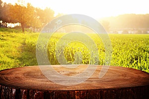 photo of front rustic wooden table and background forest.