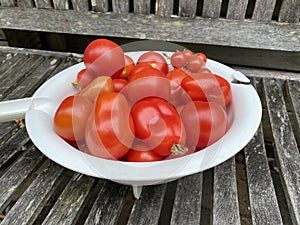 Photo of Fruit of Roma tomato