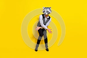 Photo of funny entertainer office worker enjoy party dance wear raccoon mask vest isolated yellow color background