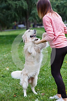 Photo of girl holding dog by front paws on green lawn