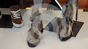 Photo of a goat-like shoe. Photo showcases
