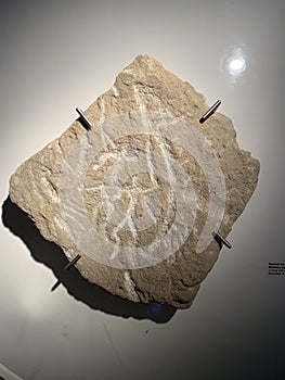 Photo of Gobustan starte reserve protected area, Azerbaijan