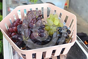 photo of grapes or Vitis vinifera L