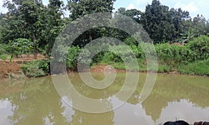 Photo graph of a village here