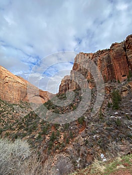 Photo of the Great Arch in Zion National Park