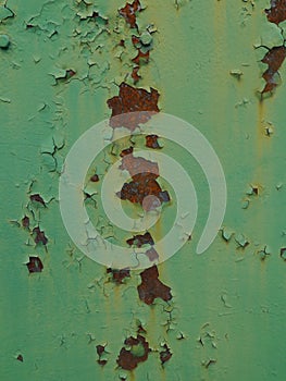 Photo of green grunge textured metal background