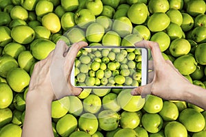 Photo of green jujubes with smartphone camera