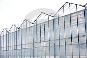 Photo of Greenhouse