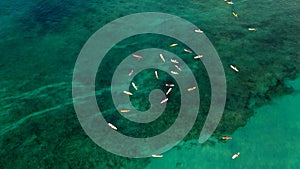 Photo of a group of surfers who are waiting a wave in the ocean