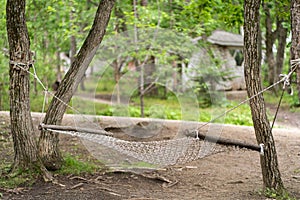 Photo of hammock in the forest glade