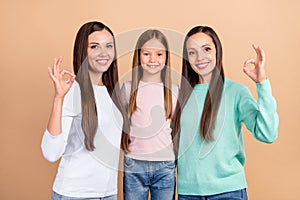 Photo of happy positive family woman make okay sign smile recommend isolated on pastel beige color background