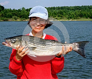 Woman With 10 LB Striped Bass photo